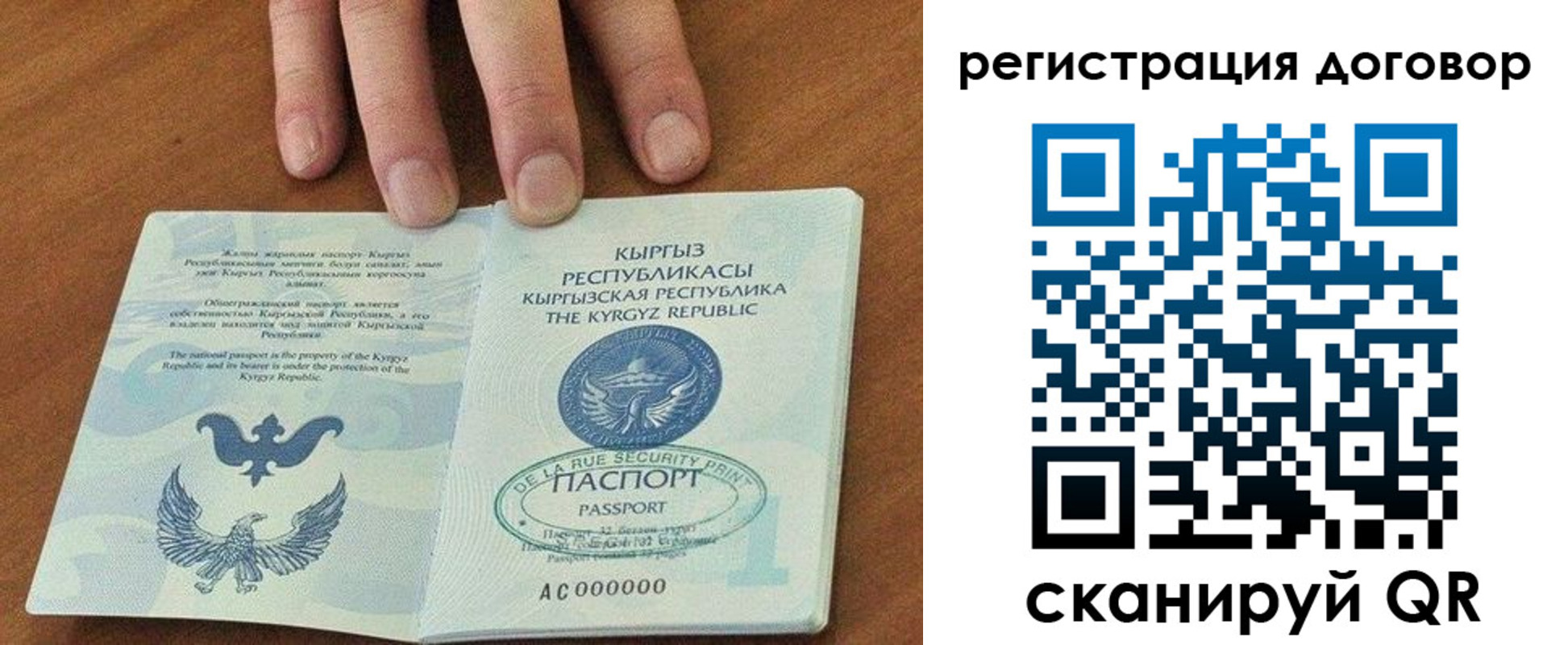 пропишу в квартире в Новороссийске